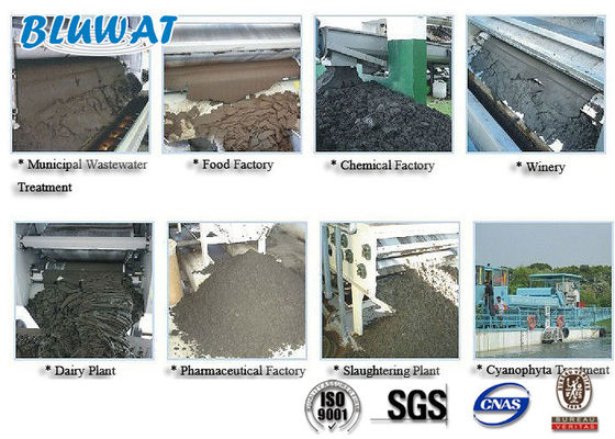 Купить Полиакриламид белого порошка катионоактивный для Dewatering шуги онлайн изготовление