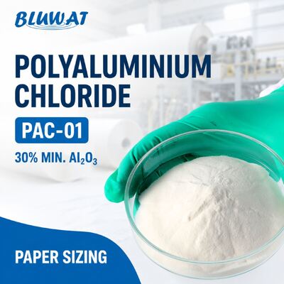 Купить 30% мин. Al2O3 Белый порошок Полиалюминийхлорид PAC-01 для проклейки и удержания бумаги онлайн изготовление