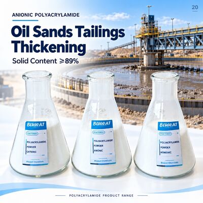 Купить Anionic Polyacrylamide APAM 20-100 Mesh 89% Min Solid for Oil Sands Tailings Thickening CAS 9003-05-8 ISO 9001 Manufacturer 750kg Net Big Bag онлайн изготовление