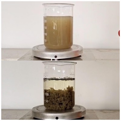 Цвет коагулянта агента Decolor химикатов обработки Papermaking выходящий извлекает 55295 98 2